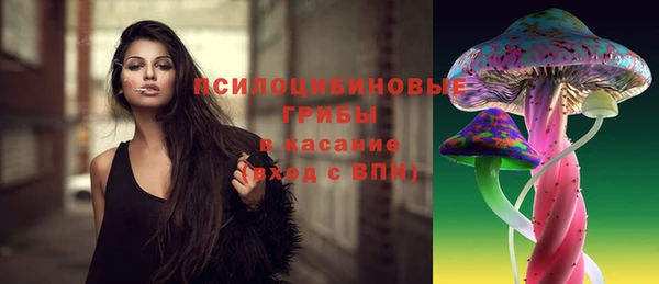 дурь Алексин