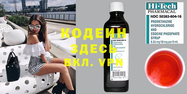 дурь Алексин