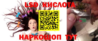 прущие крисы Кимры